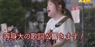 「夢終い人」　こまり　楽曲紹介