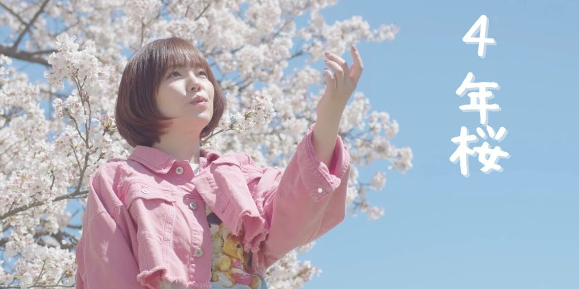 「4年桜」麻桐友恵　楽曲紹介