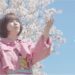 「4年桜」麻桐友恵 楽曲紹介