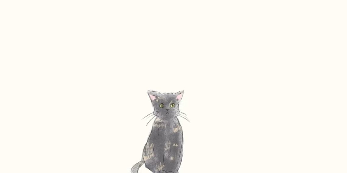 「猫です」橋爪もも　楽曲紹介